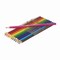 Crayola Watercolor Pencil Classpack, 3.3 mm, Assorted Lead and Barrel Colors, 240PK 68-7507 - alternate 4